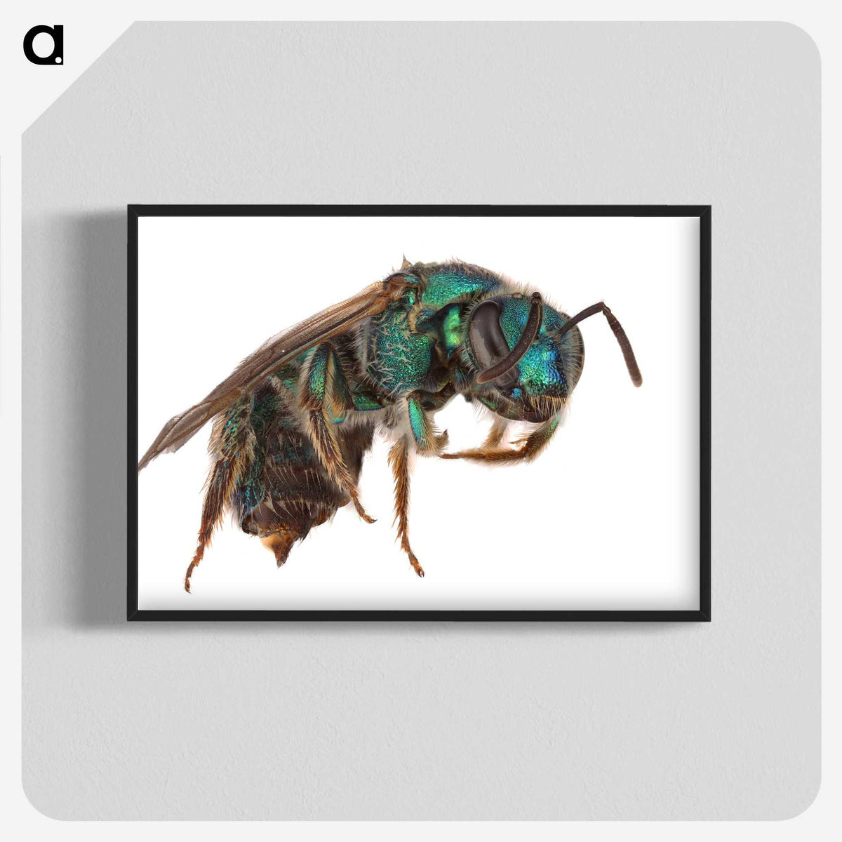 2-10_Insects-Unlocked-Project_blk-crop