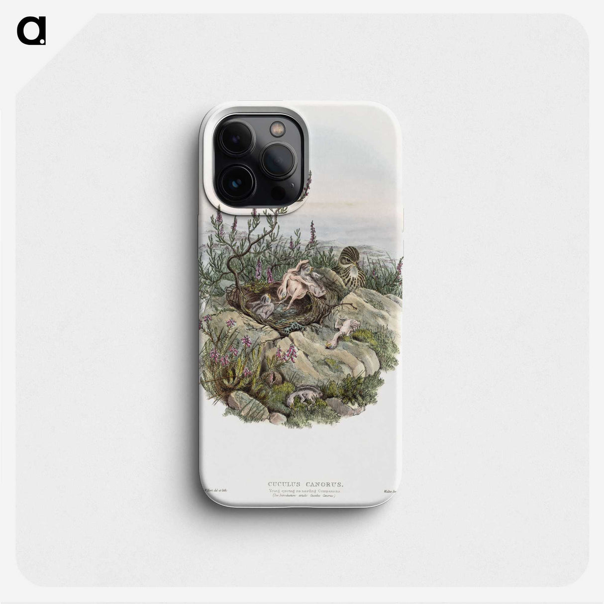 2-10_John-Gould_phone