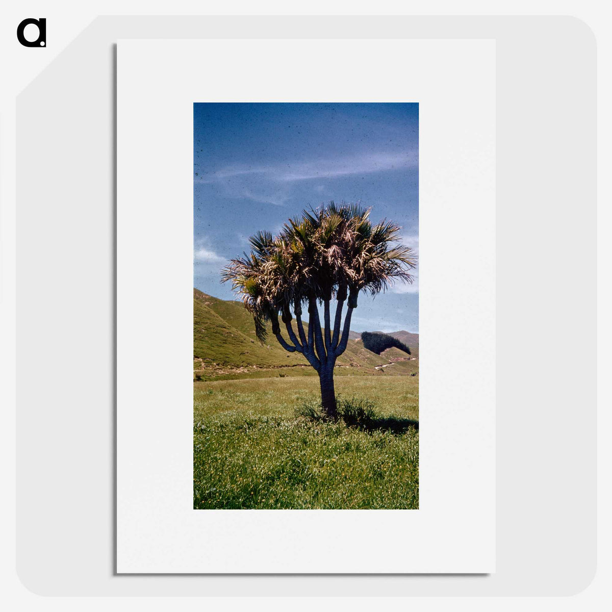 2-10_Leslie-Adkin_picture