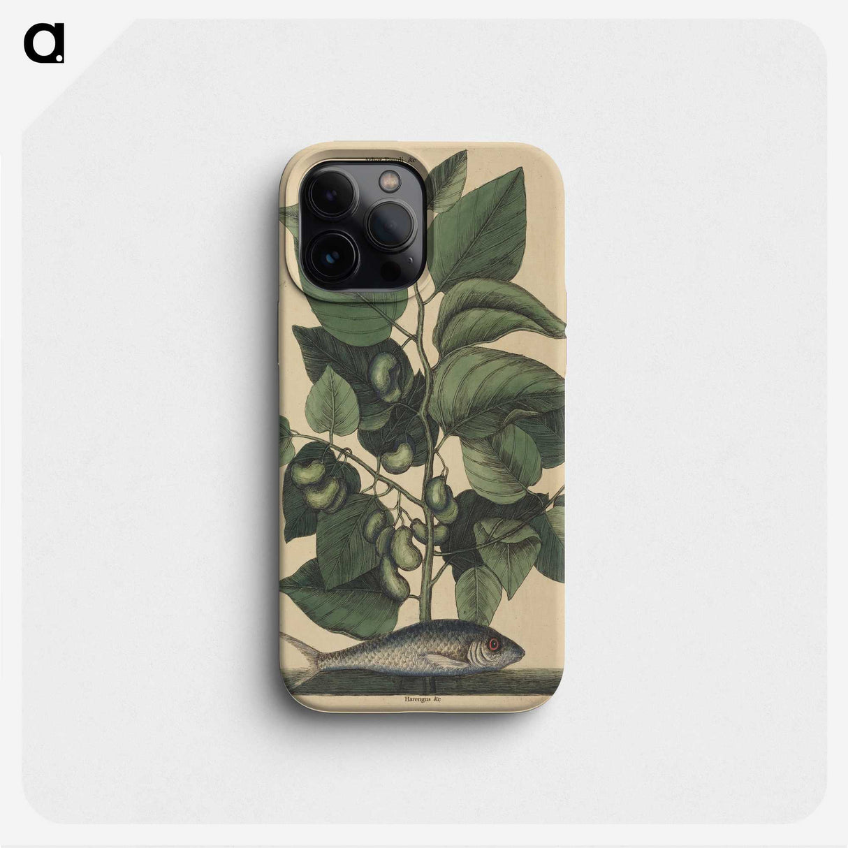 2-10_Mark-Catesby_phone