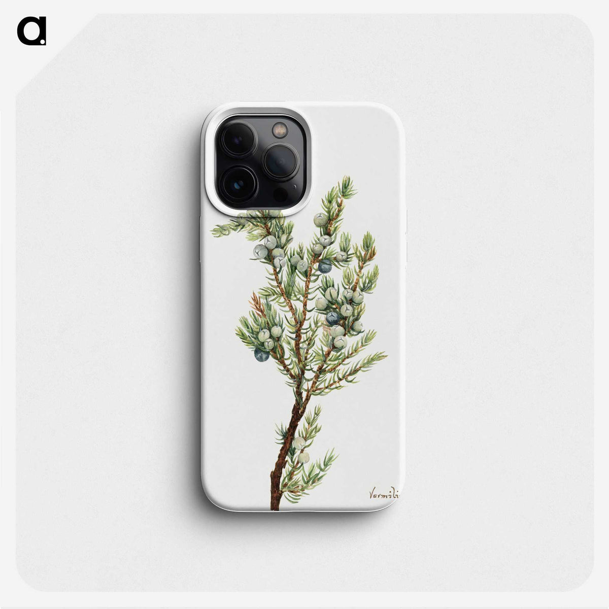 2-10_Mary-Vaux-Walcott_phone