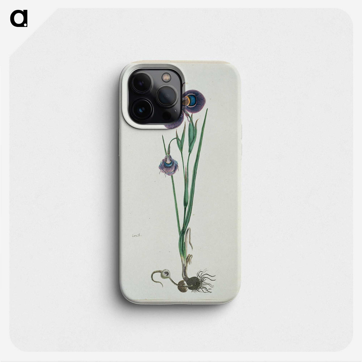 2-10_Robert-Jacob-Gordon_phone