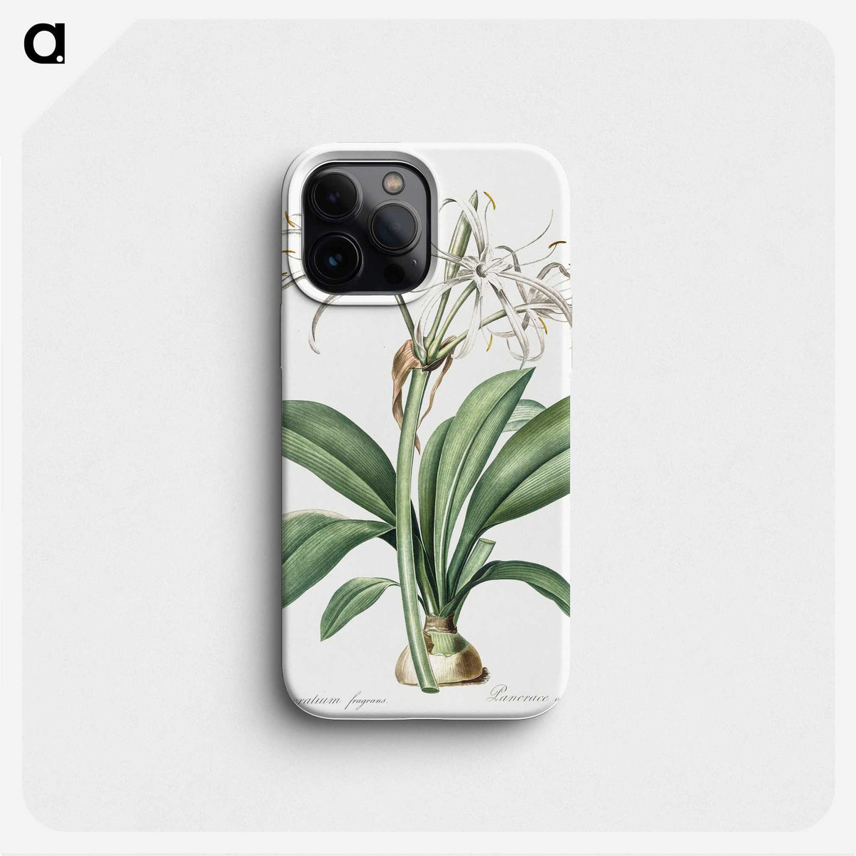 2-10_The-Lilies_phone
