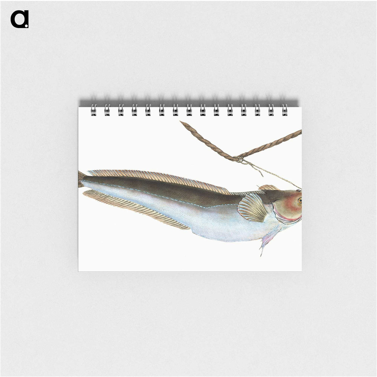 2-10_The-Natural-History-of-British-Fishes_memo
