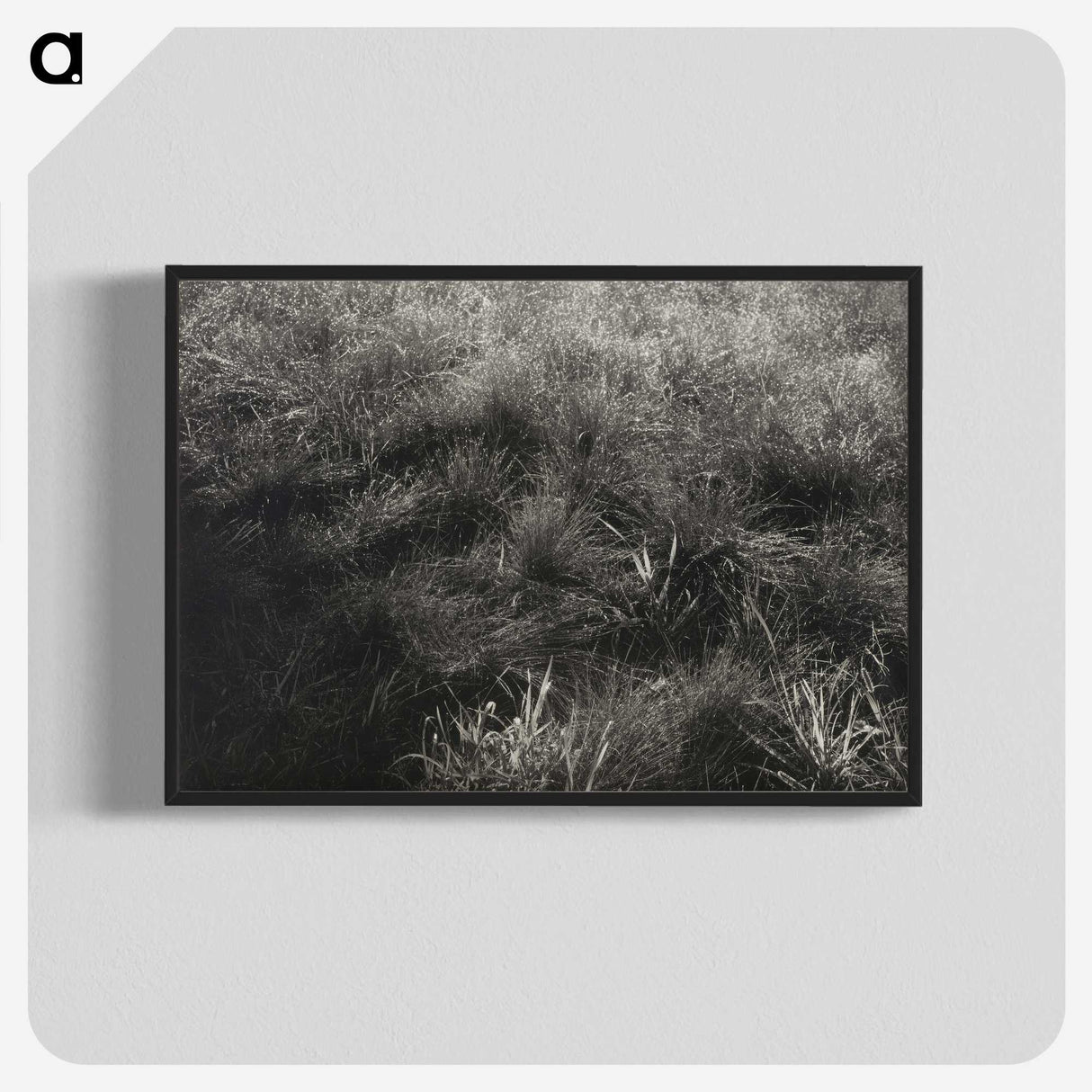 2-11_Alfred-Stieglitz_blk-crop