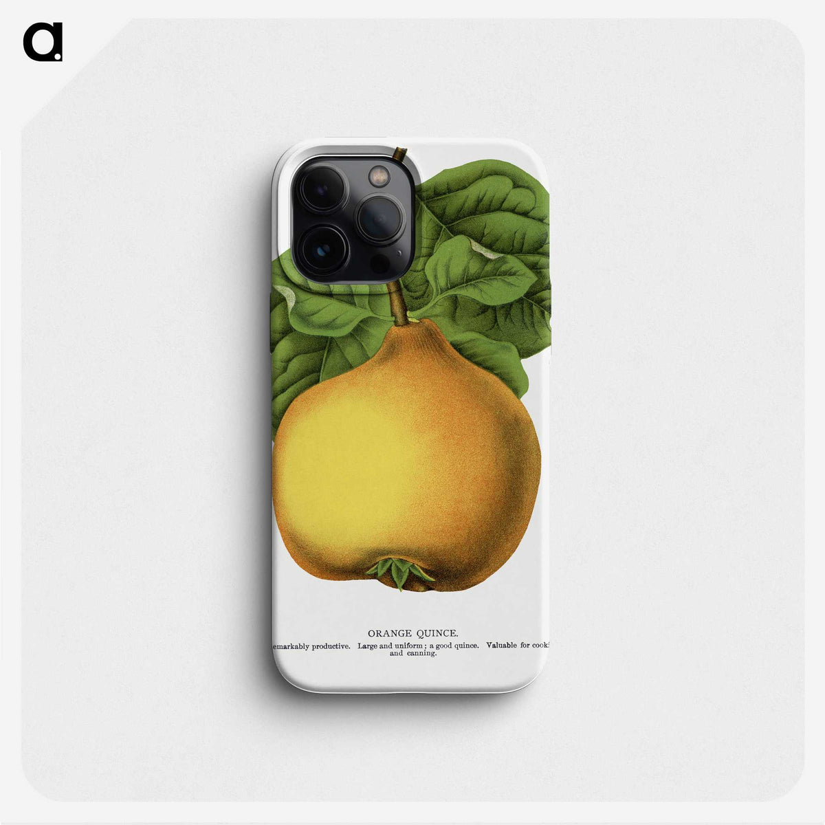 2-11_Botanical-Specimen-Plates_phone