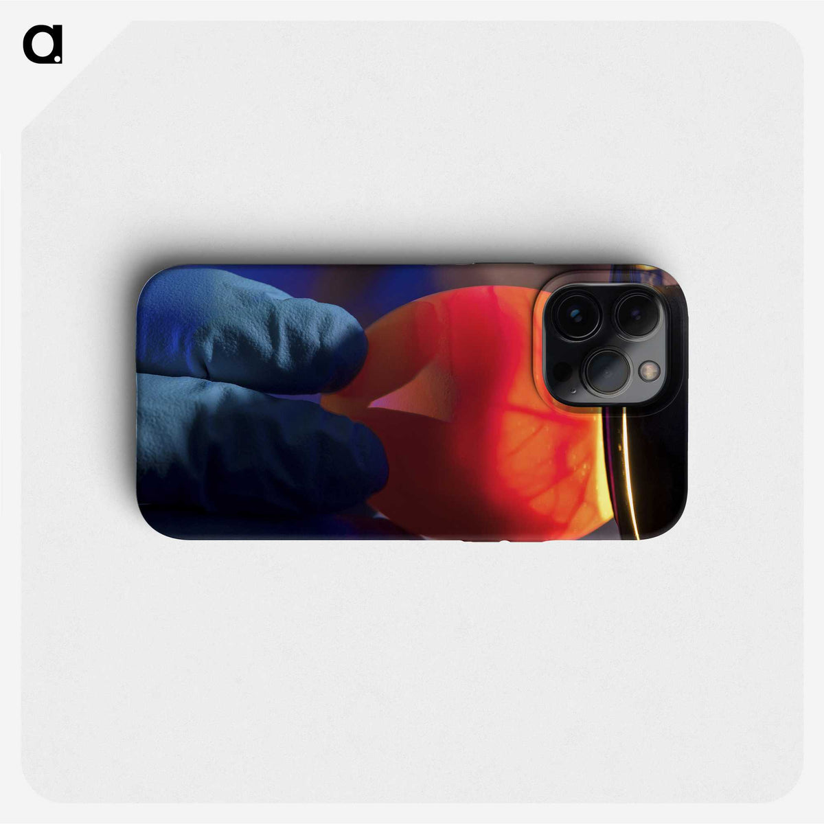 2-11_COVID-19_phone