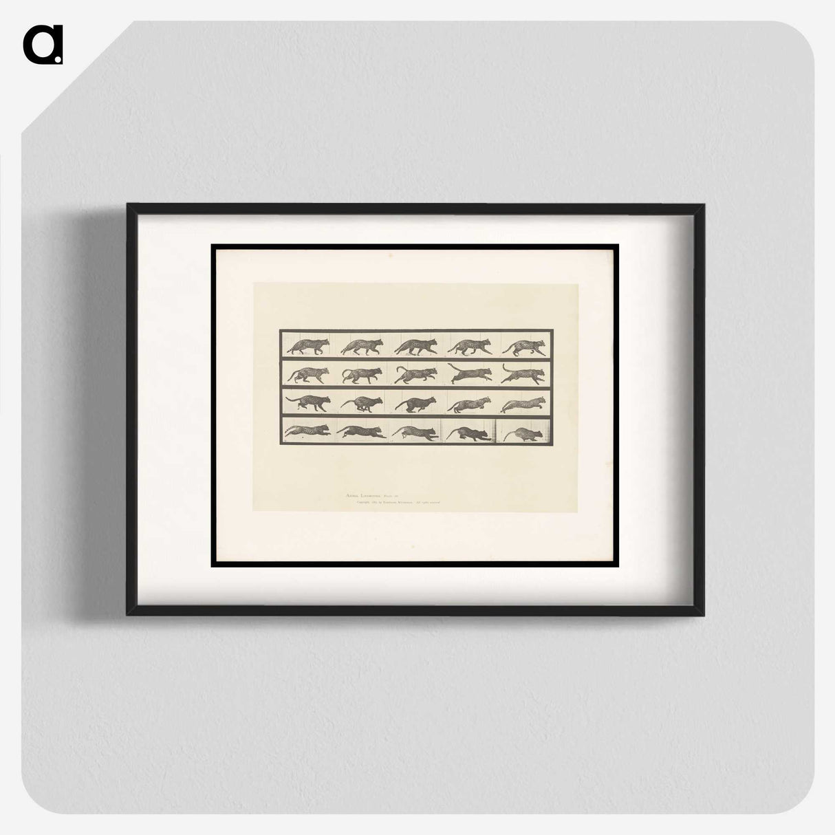 2-11_Eadweard-Muybridge_blk