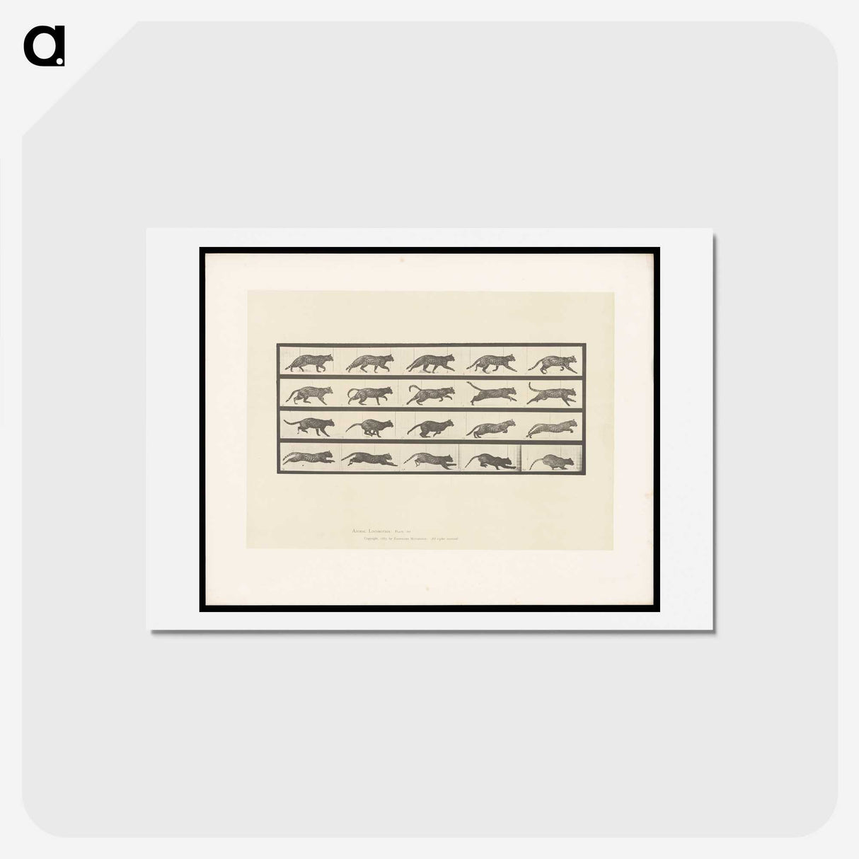 2-11_Eadweard-Muybridge_hagaki