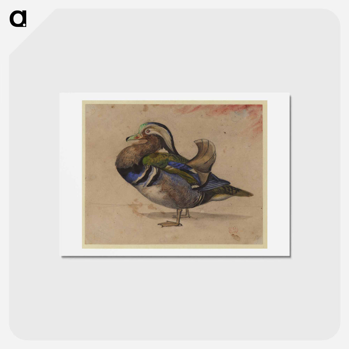 アートポストカード-A Mandarin drake - ウジェーヌ ドラクロワ Postcard.