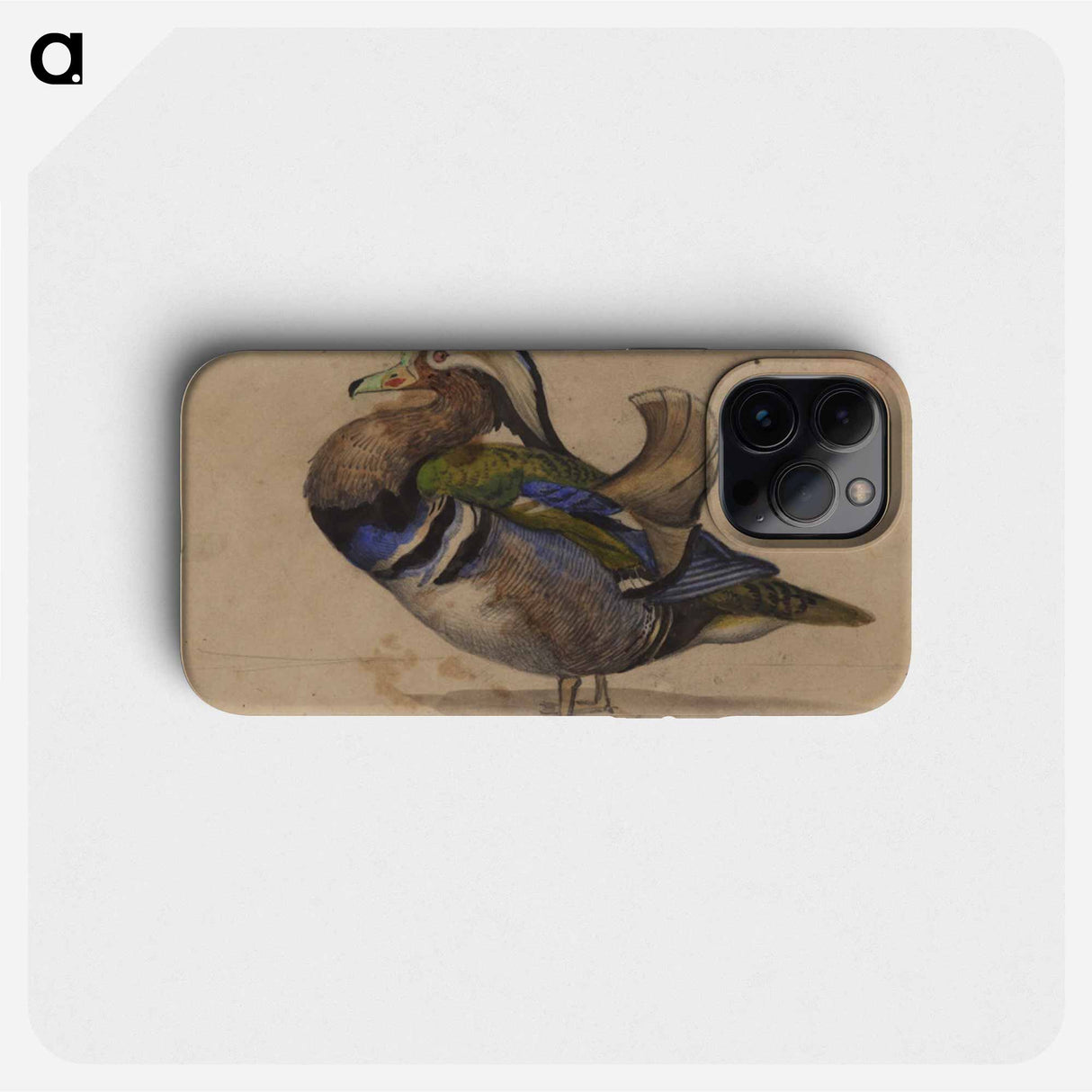 A Mandarin drake - ウジェーヌ ドラクロワ Phone Case.