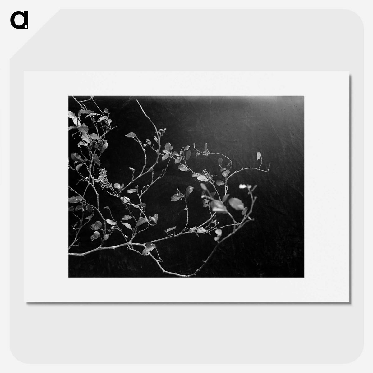 2-11_Frederick-Charles-Brockett_picture