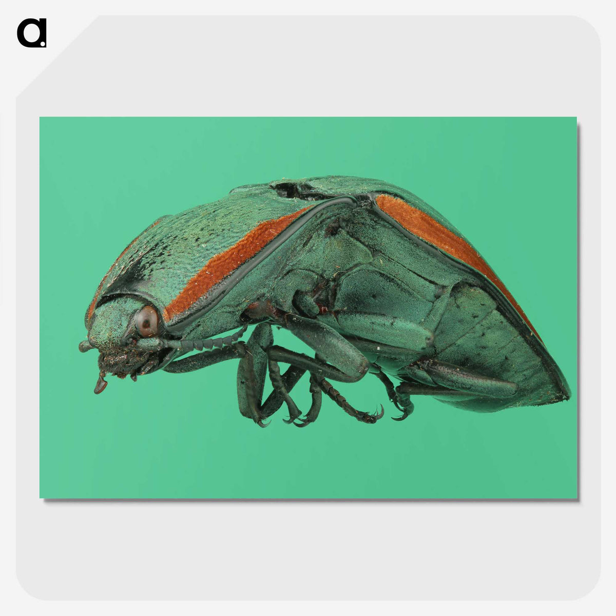 2-11_Insects-Unlocked-Project_picture-crop