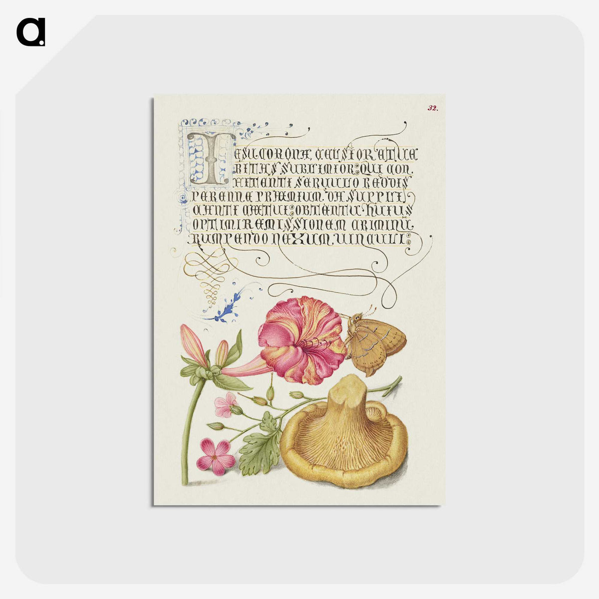 2-11_Joris-Hoefnagel_postcard