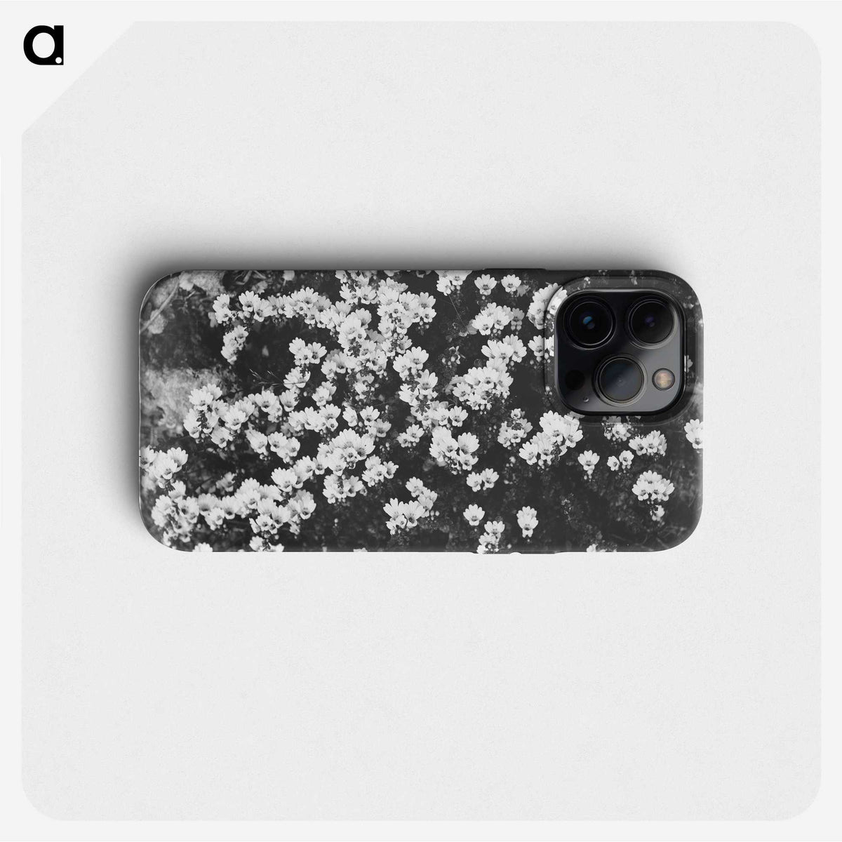 2-11_Leslie-Adkin_phone
