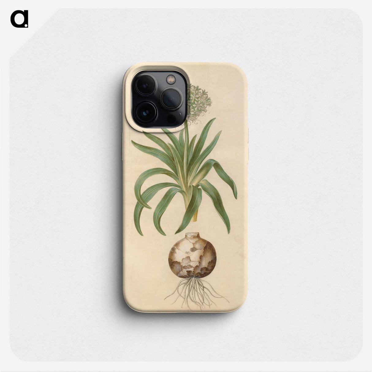 2-11_Maria-Sibylla-Merian_phone