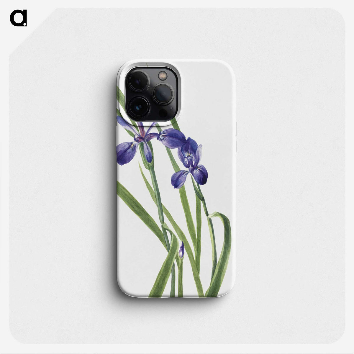2-11_Mary-Vaux-Walcott_phone