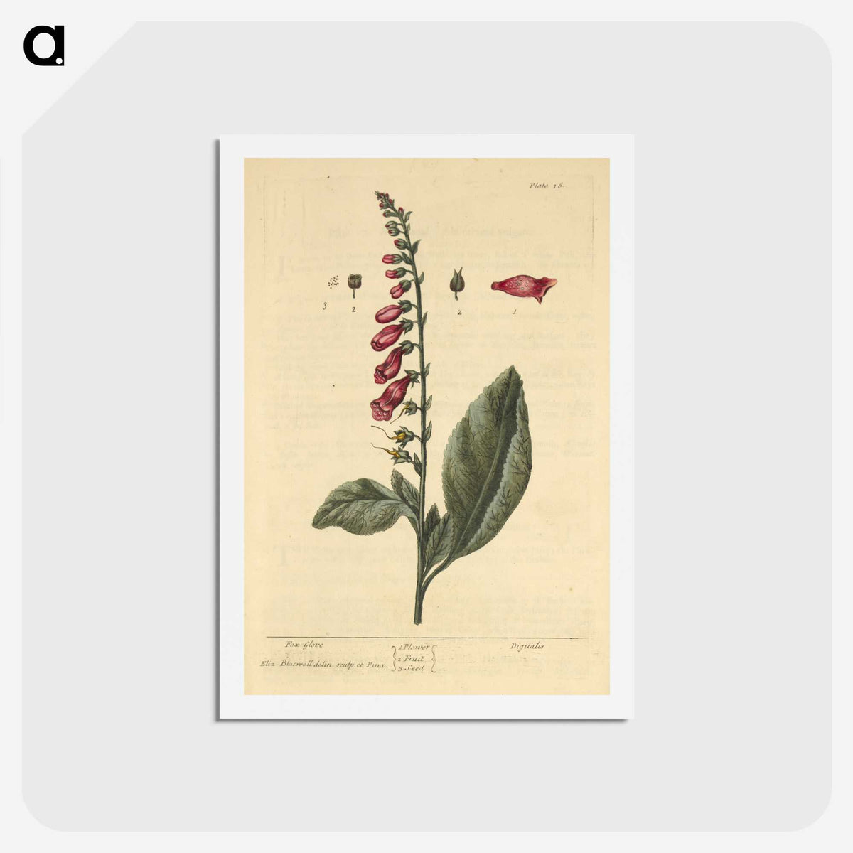 2-11_National-Library-of-Medicine_hagaki