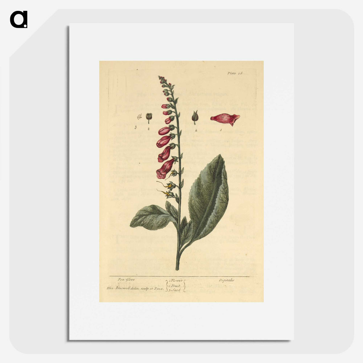 2-11_National-Library-of-Medicine_picture