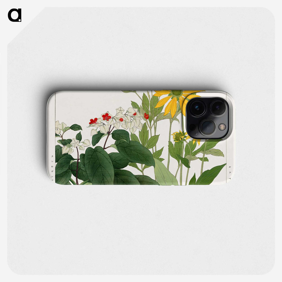 2-11_Seiyo-Soka-Zufu_phone