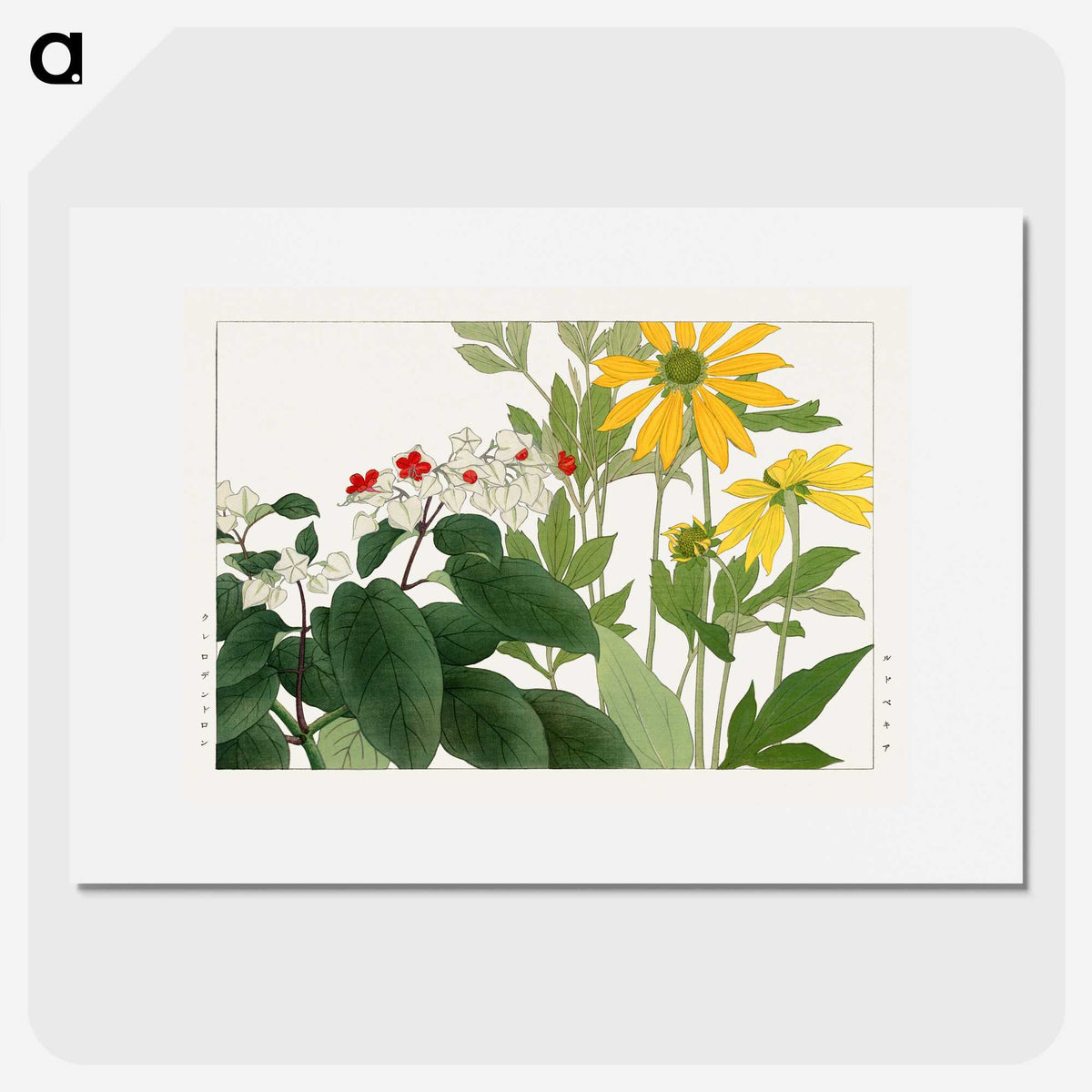 2-11_Seiyo-Soka-Zufu_picture