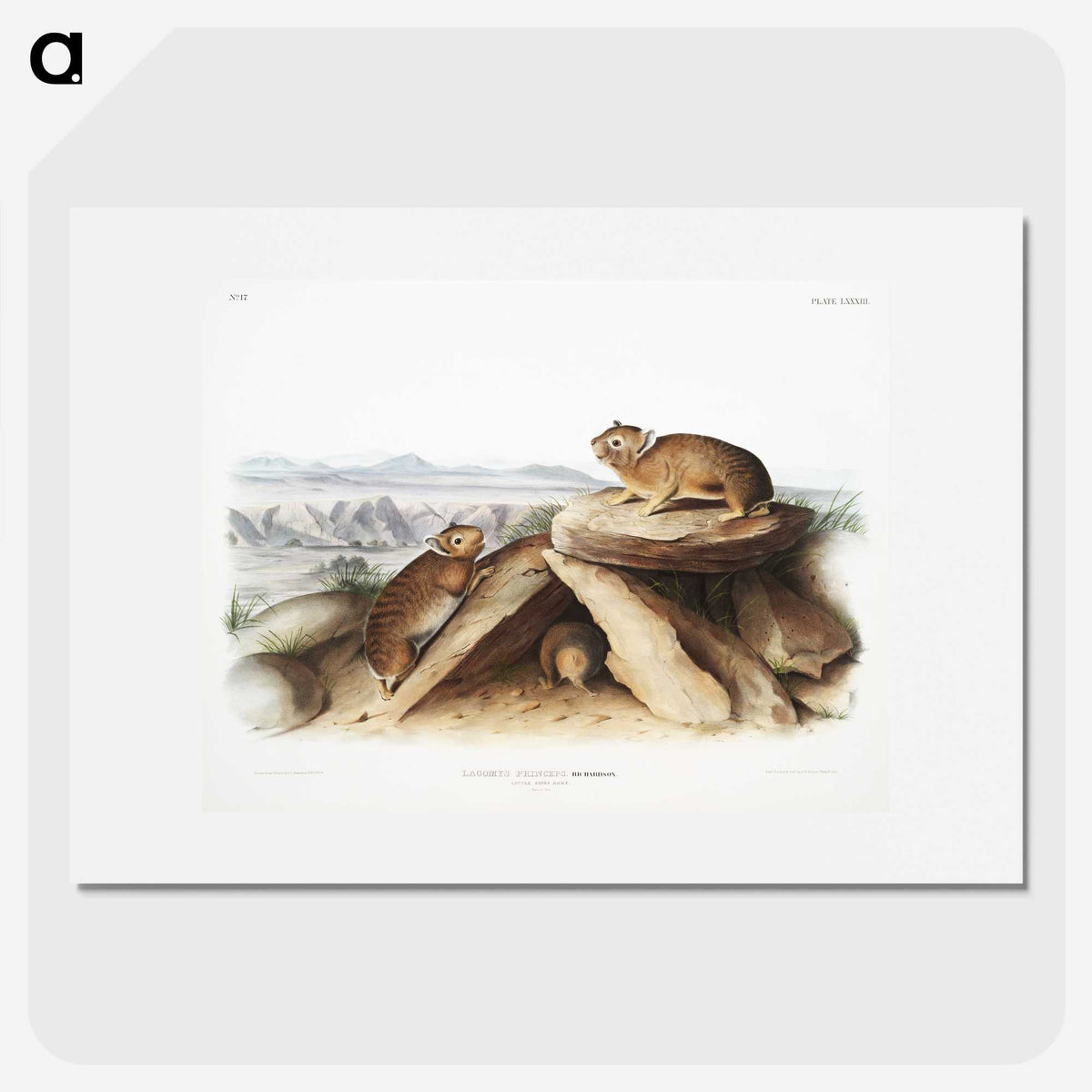2-11_The-Viviparous-Quadrupeds_picture