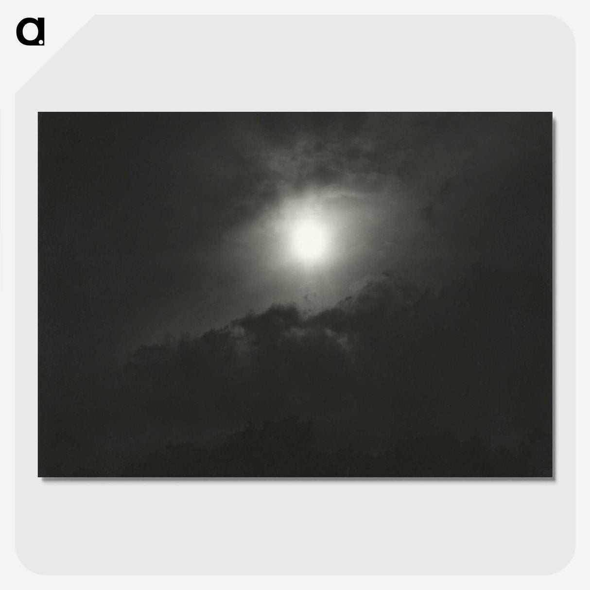 2-12_Alfred-Stieglitz_picture-crop