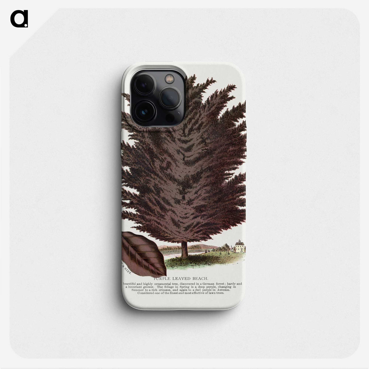 2-12_Botanical-Specimen-Plates_phone
