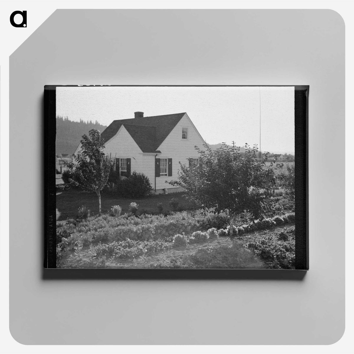 2-12_Dorothea-Lange_canvas