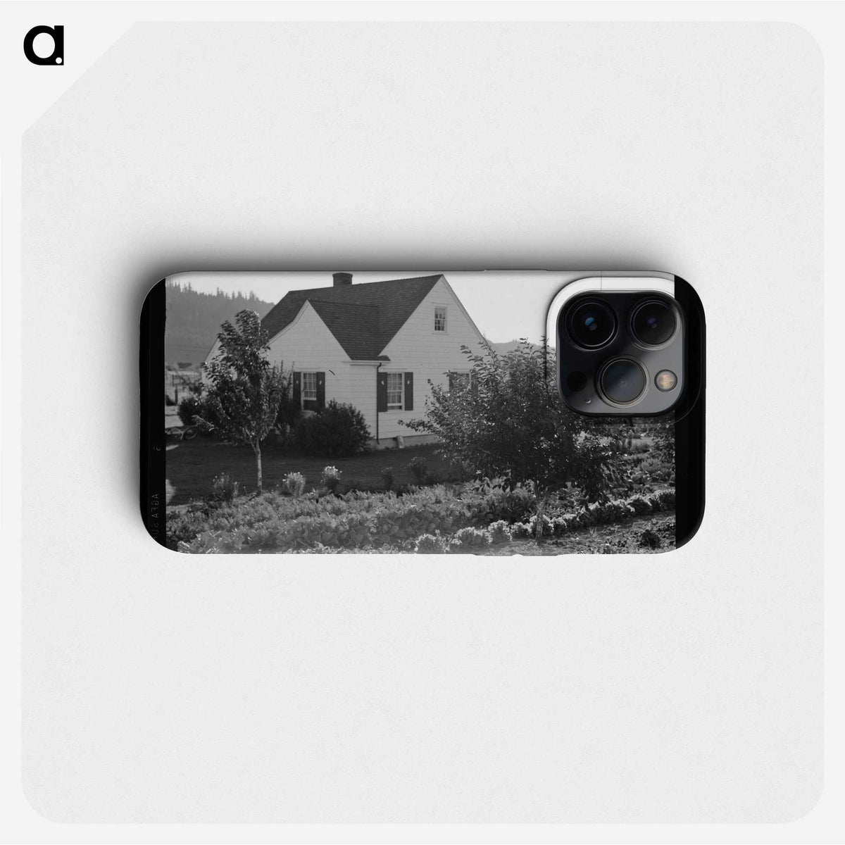 2-12_Dorothea-Lange_phone