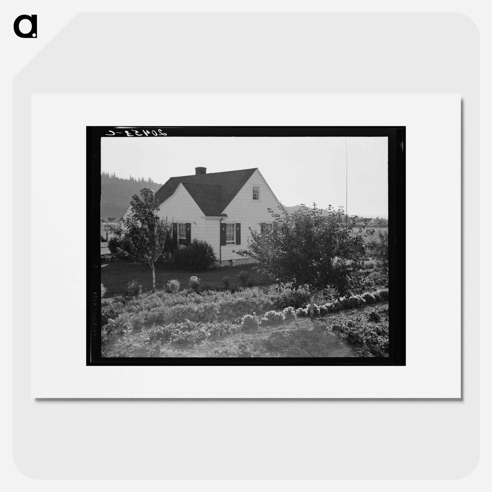 Untitled photo, possibly related to: Washington, Cowlitz County, Longview. Home on Longview homestead project - Dorothea Lange Poster.