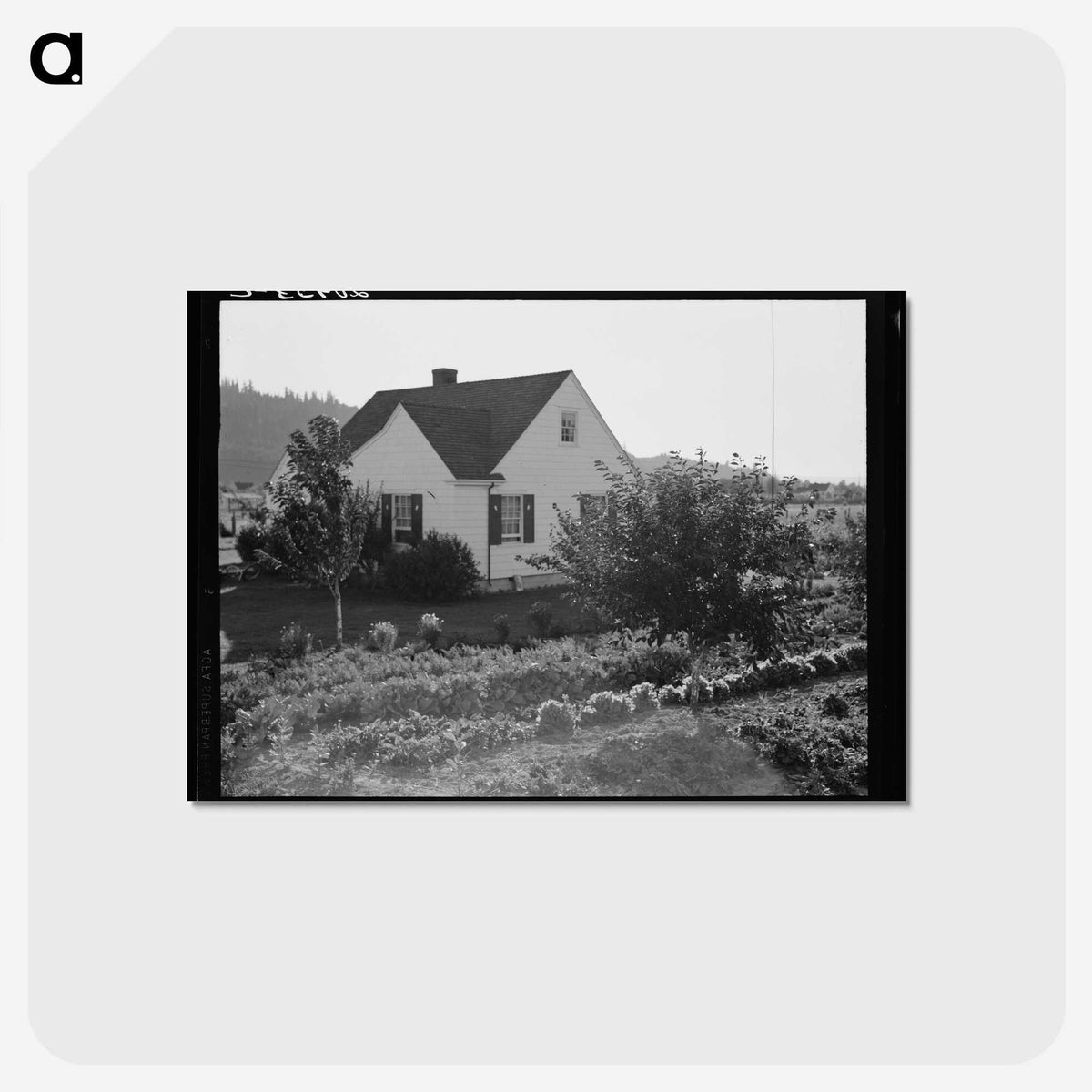 2-12_Dorothea-Lange_postcard