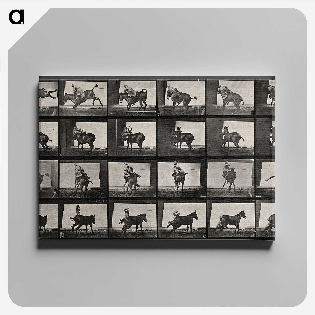 2-12_Eadweard-Muybridge_canvas