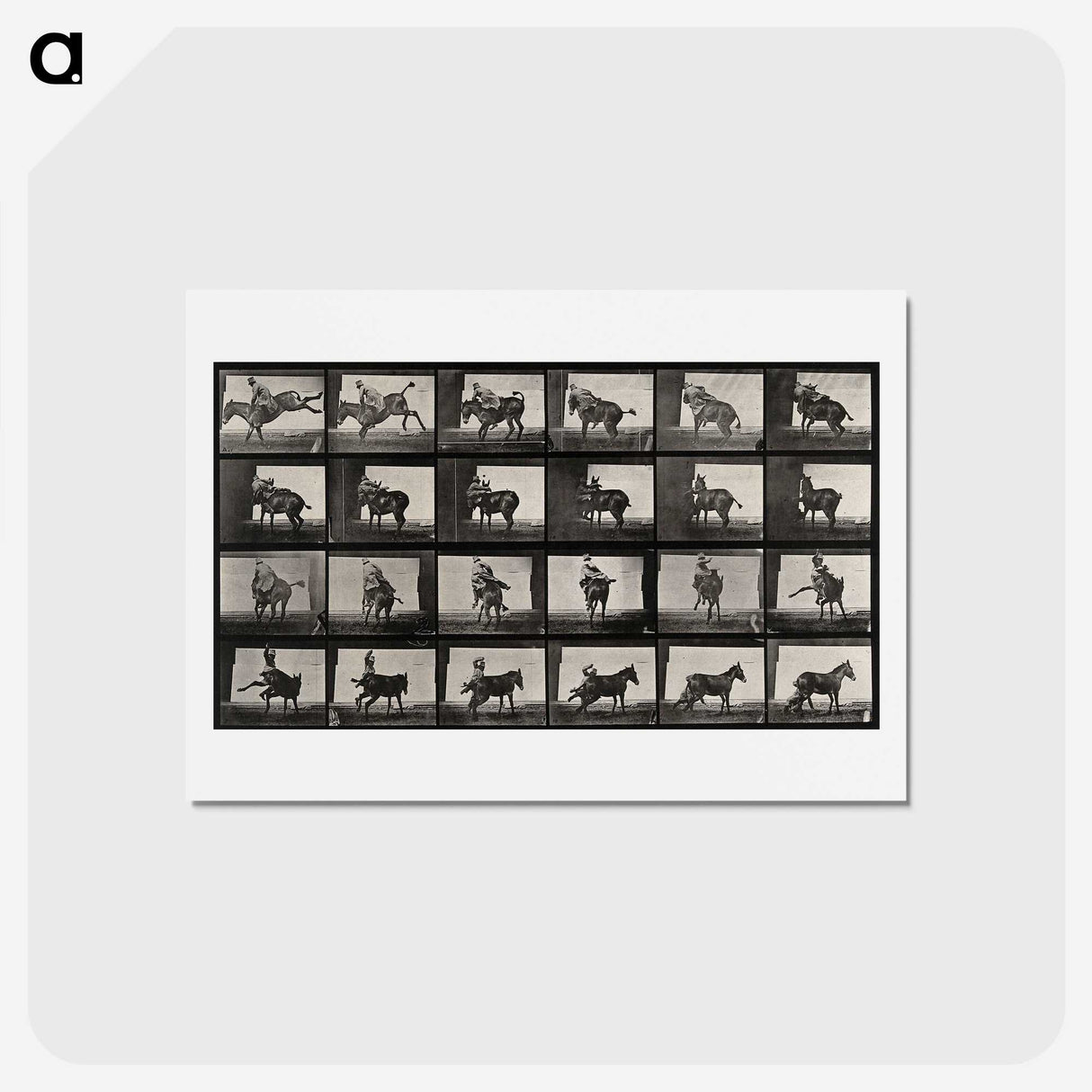 2-12_Eadweard-Muybridge_hagaki