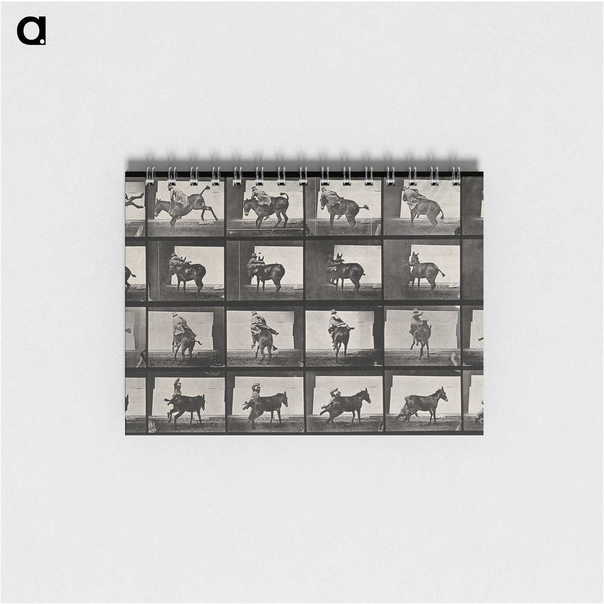 2-12_Eadweard-Muybridge_memo