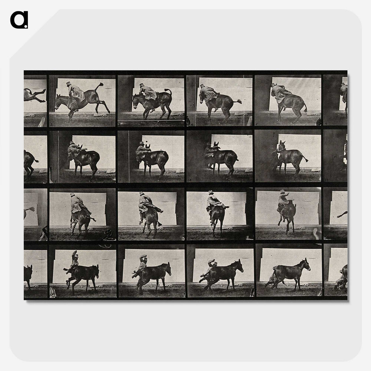 2-12_Eadweard-Muybridge_picture-crop