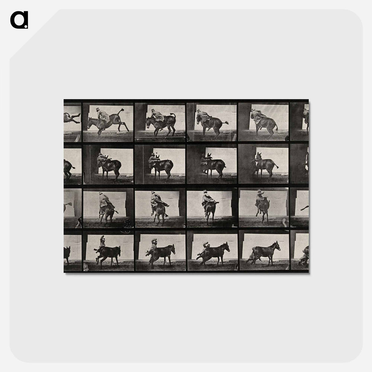 アートポストカード-Falling From Horseback
- エドワード マイブリッジ Postcard.