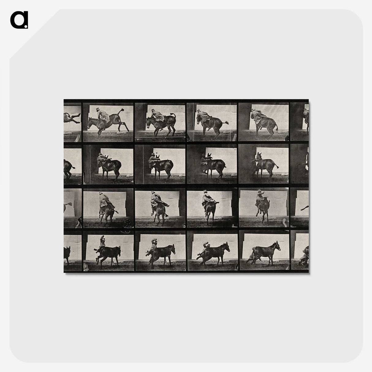 2-12_Eadweard-Muybridge_postcard