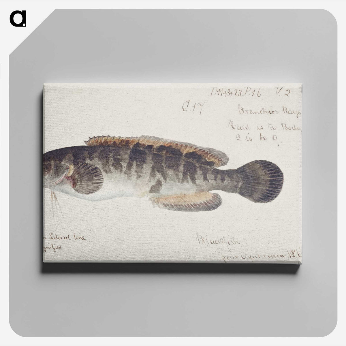 2-12_Frank-Edward-Clarke_canvas