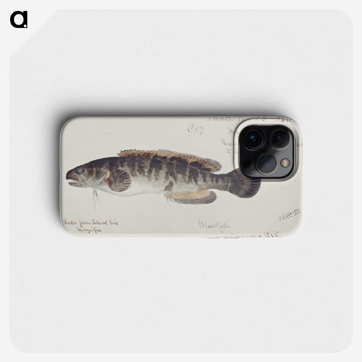 2-12_Frank-Edward-Clarke_phone
