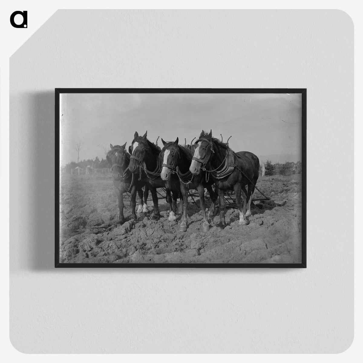 2-12_Frederick-Charles-Brockett_blk-crop