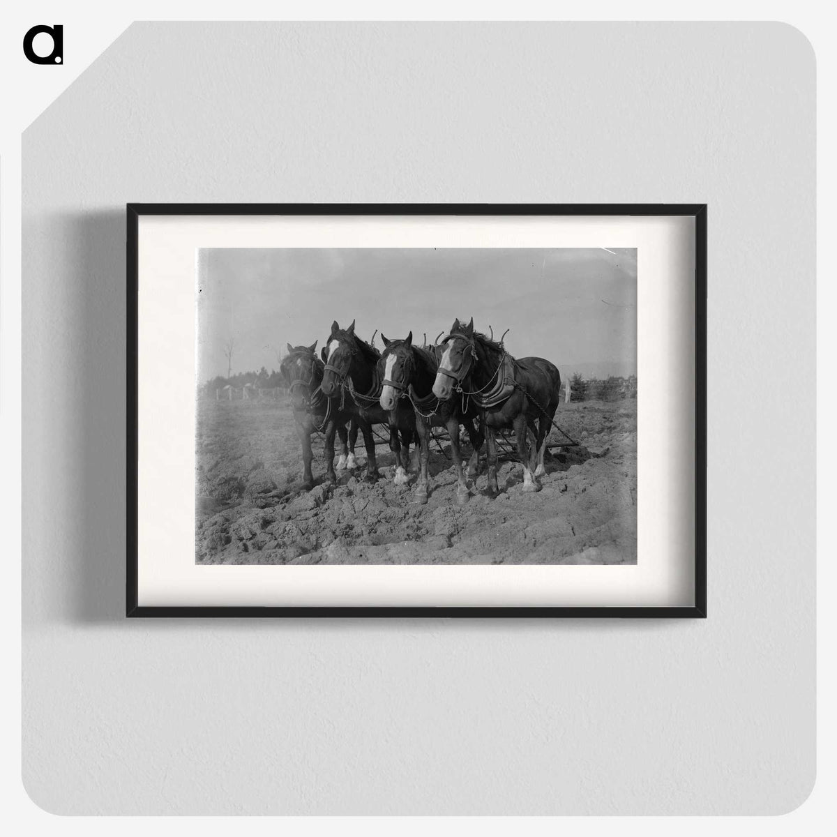 2-12_Frederick-Charles-Brockett_blk