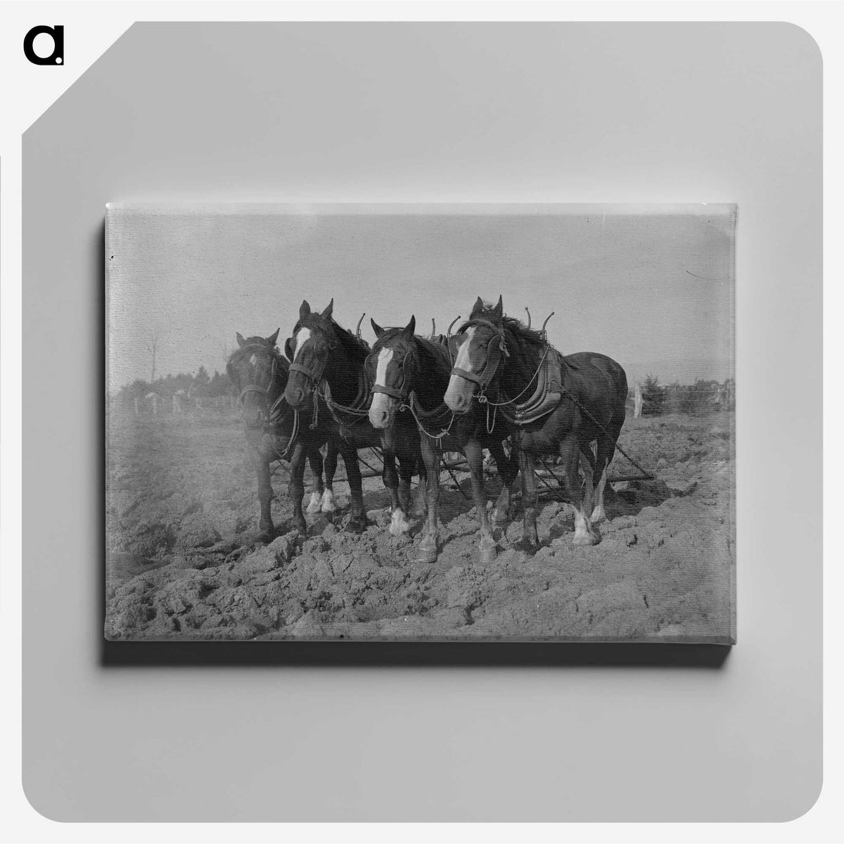2-12_Frederick-Charles-Brockett_canvas