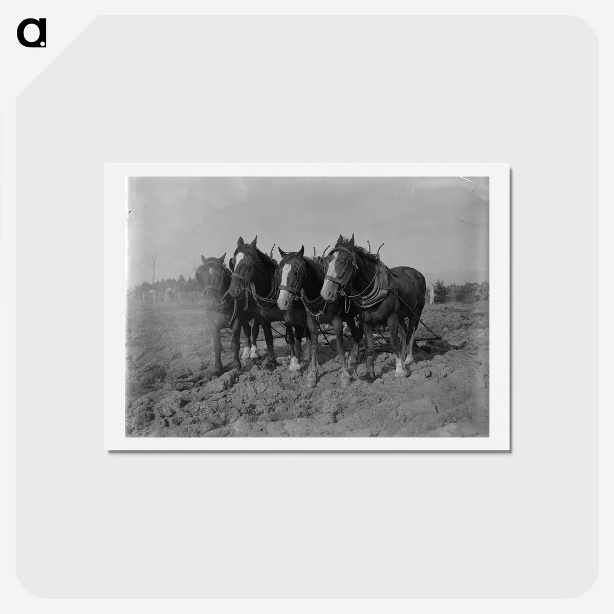 2-12_Frederick-Charles-Brockett_hagaki