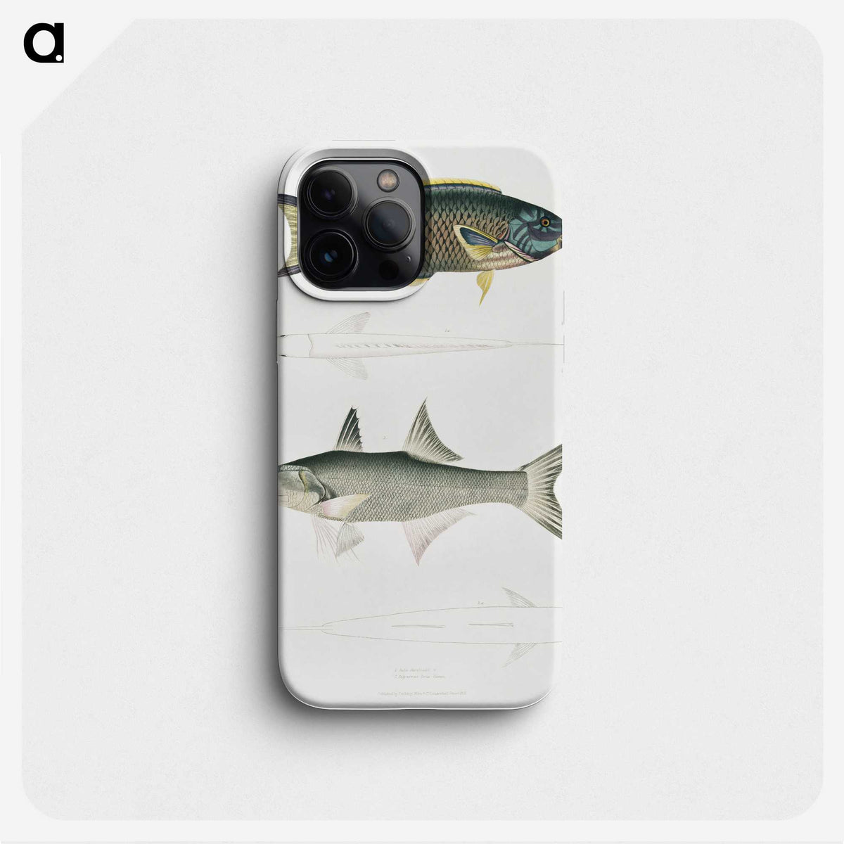 2-12_Indian-Zoology_phone