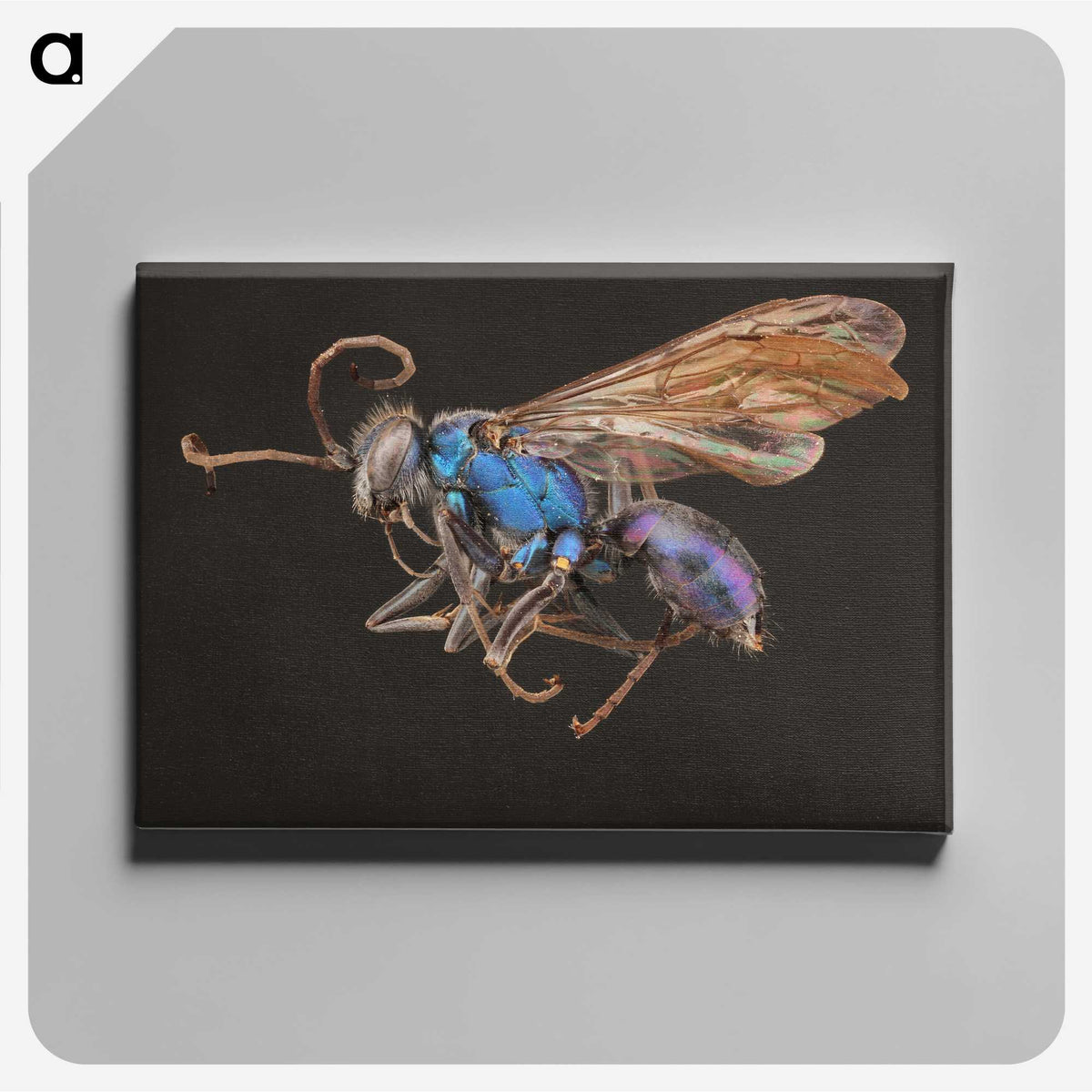 2-12_Insects-Unlocked-Project_canvas