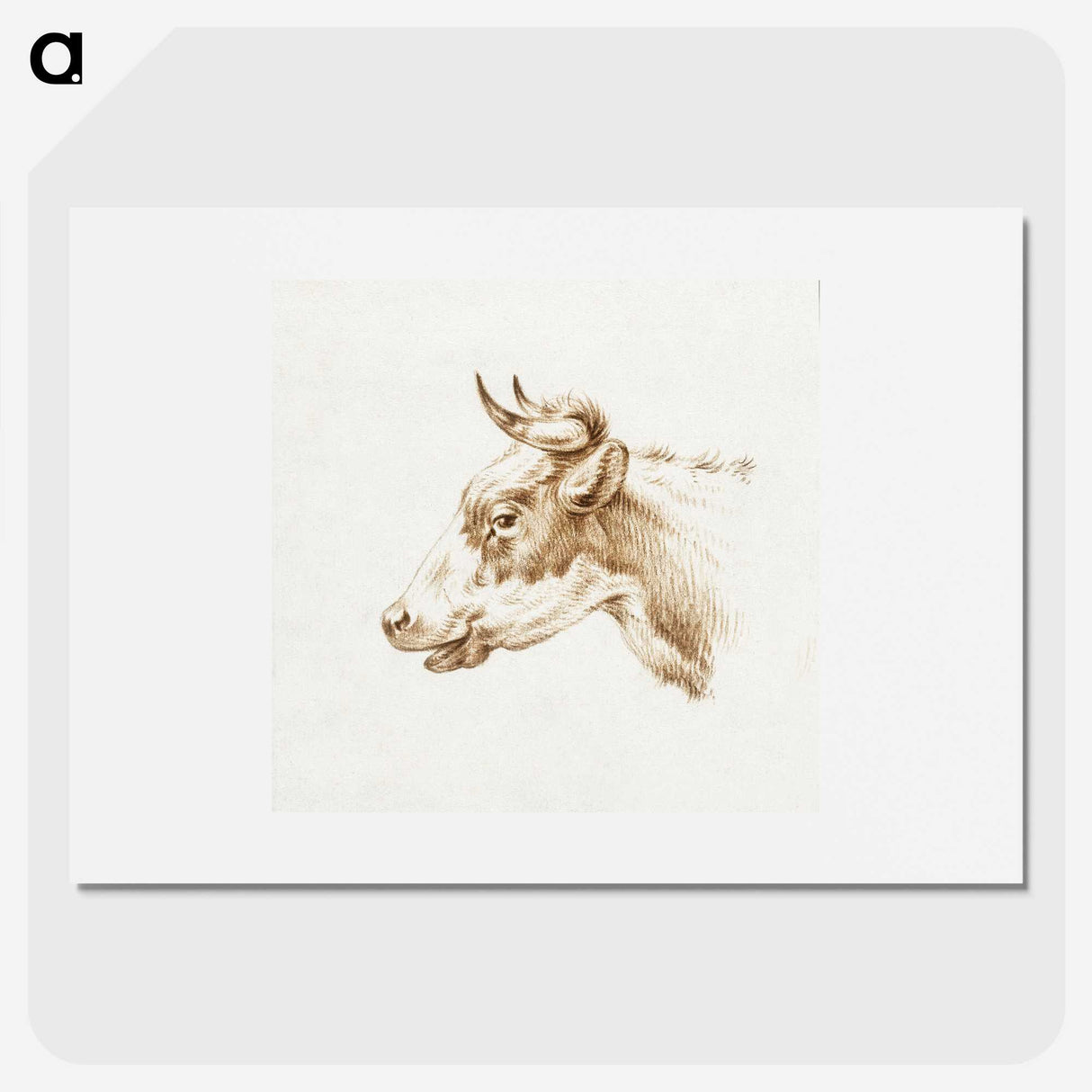 2-12_Jean-Bernard_picture