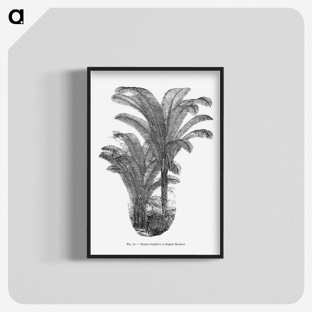 2-12_Les-Palmiers-Histoire-Iconographique_blk-crop