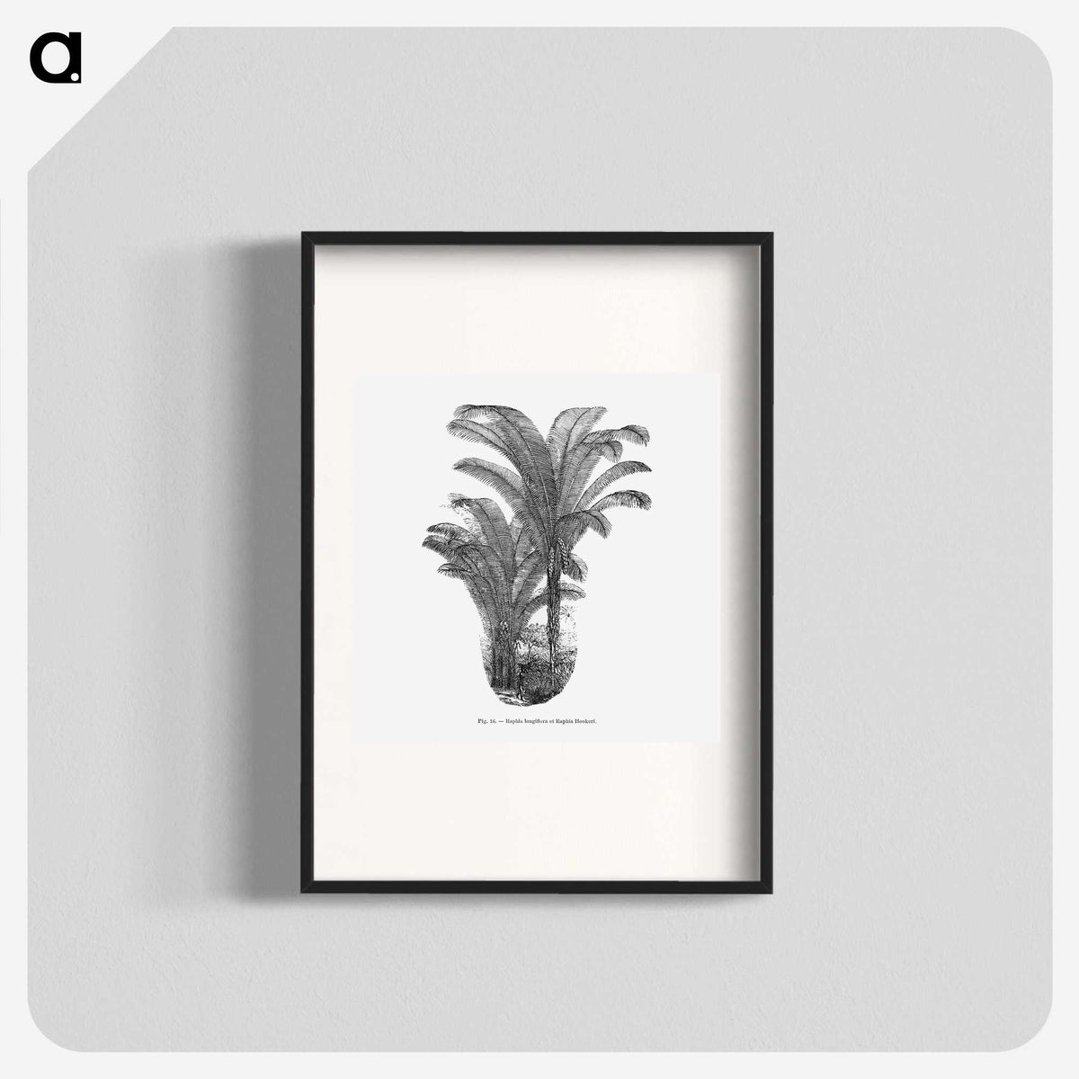 2-12_Les-Palmiers-Histoire-Iconographique_blk