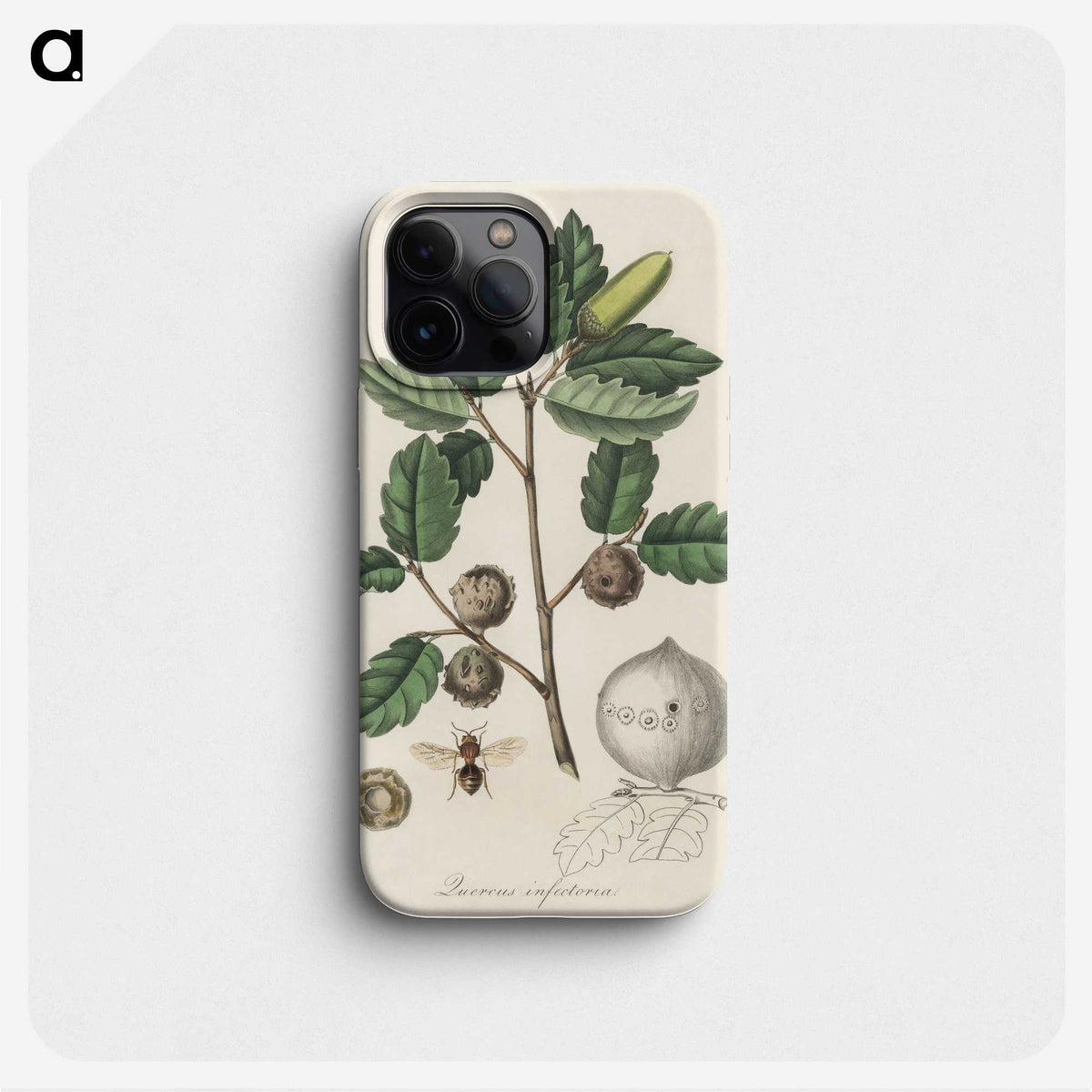 2-12_Medical-Botany_phone